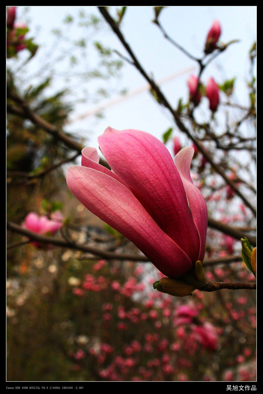 照片 051.jpg