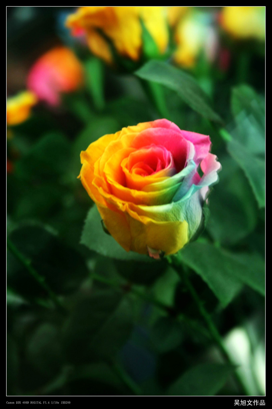 照片 096.jpg