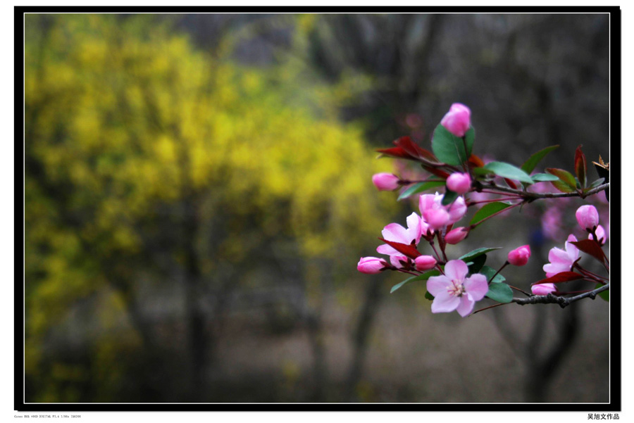照片 533.jpg