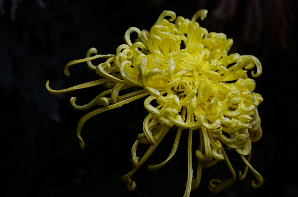 DSC_0055.jpg