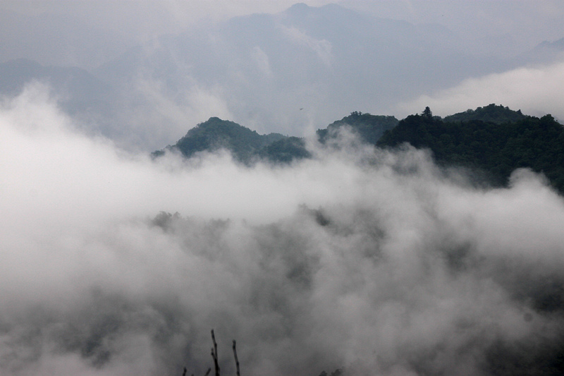 fengxian 309AB.jpg