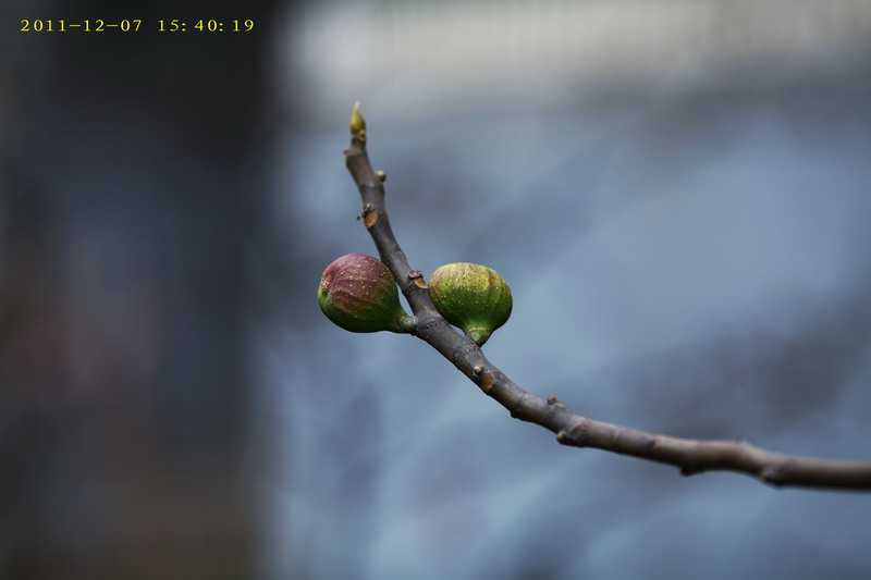 12077480_调整大小.JPG