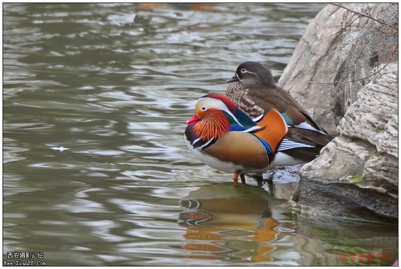 conew_dsc_0355_副本.jpg
