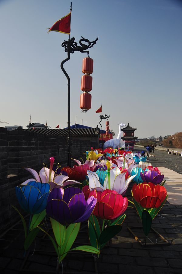 照片 08410.jpg
