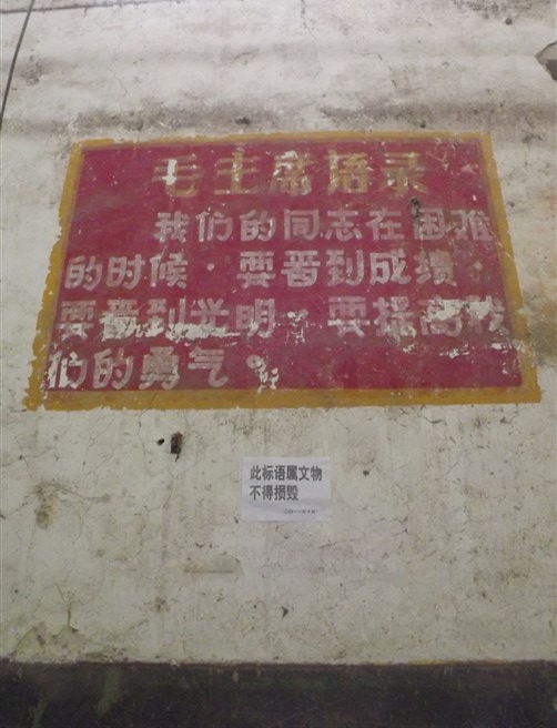 旋转 11.jpg