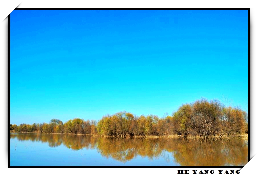 DSC_0024.jpg