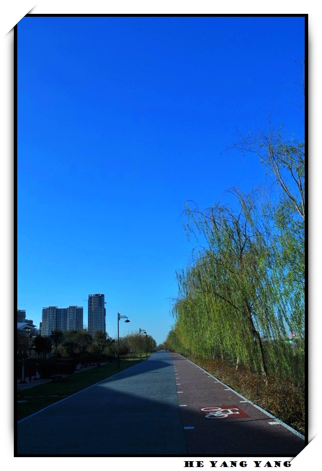 DSC_0035.jpg
