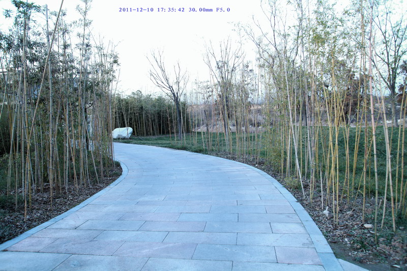 12107569_调整大小.JPG