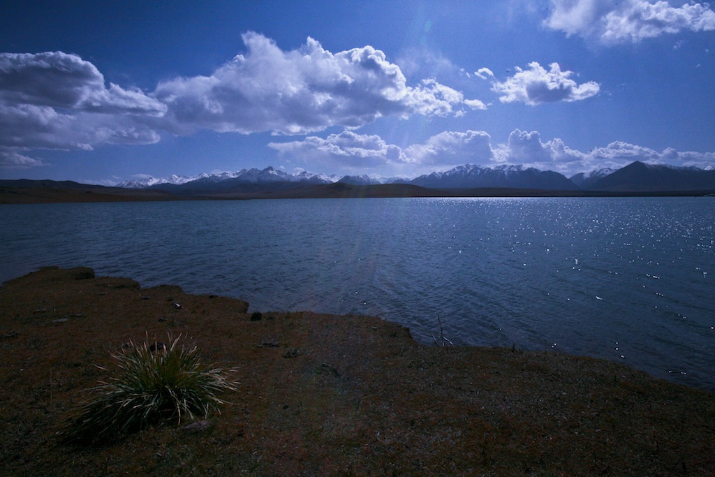 IMG_7929.JPG