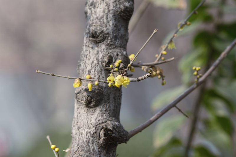 12117586_调整大小.JPG