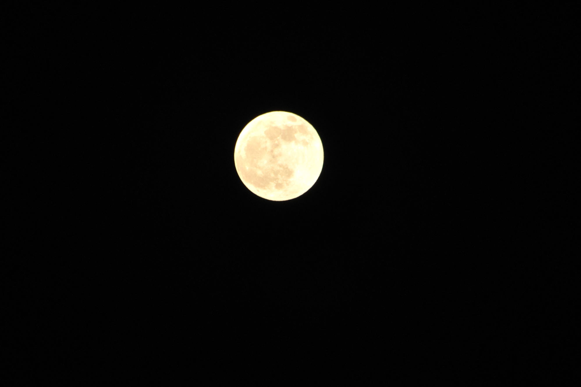 DSC_0294.jpg
