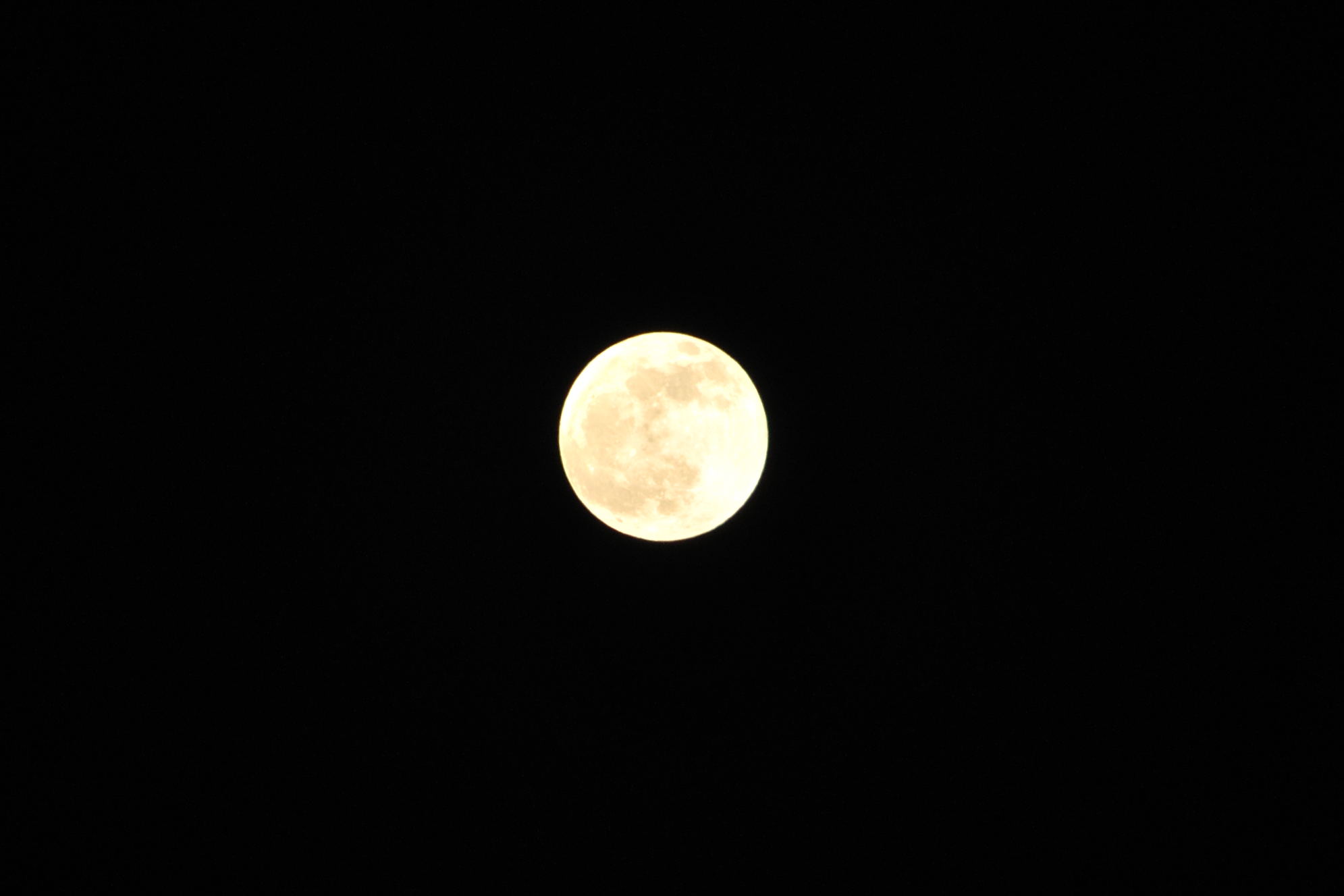 DSC_0297.jpg