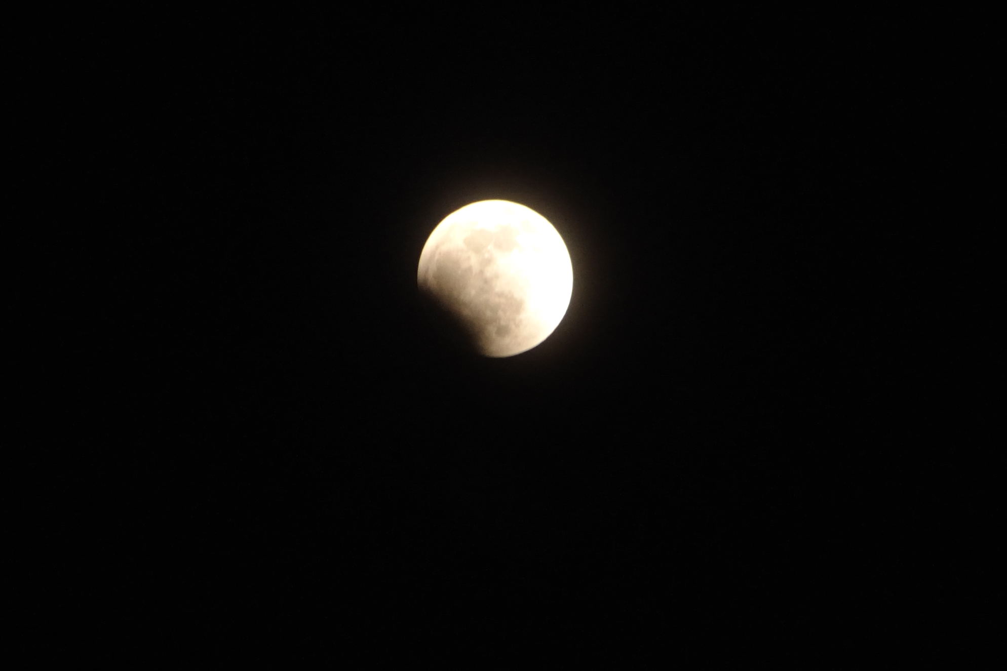 DSC_0306.jpg