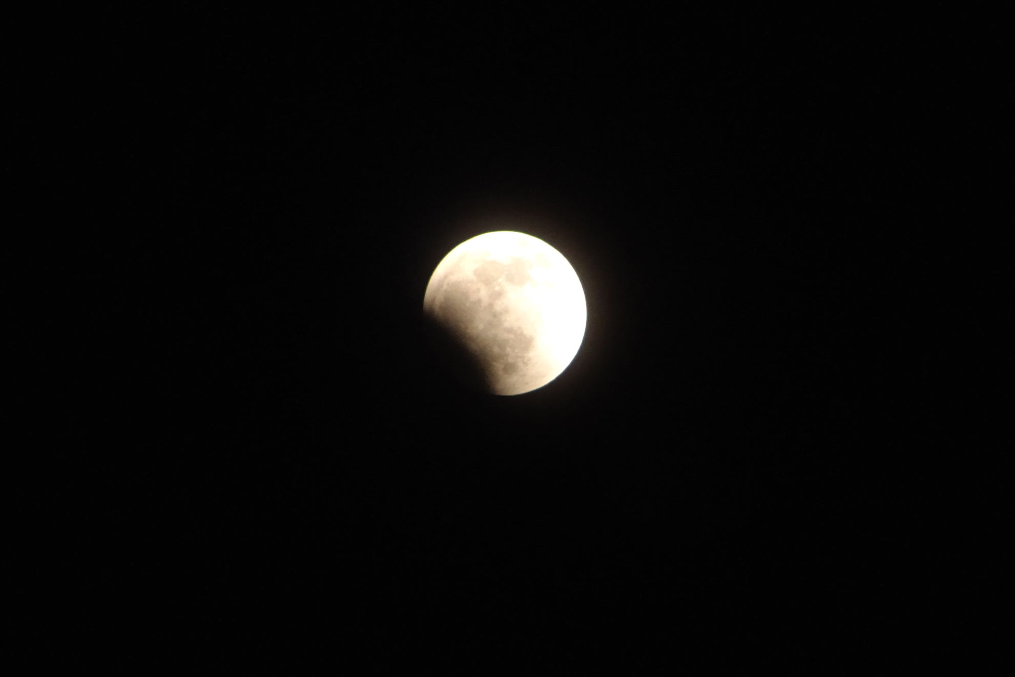 DSC_0311.jpg