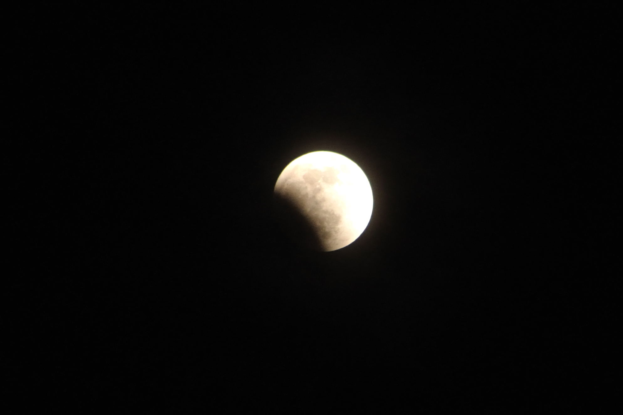 DSC_0312.jpg
