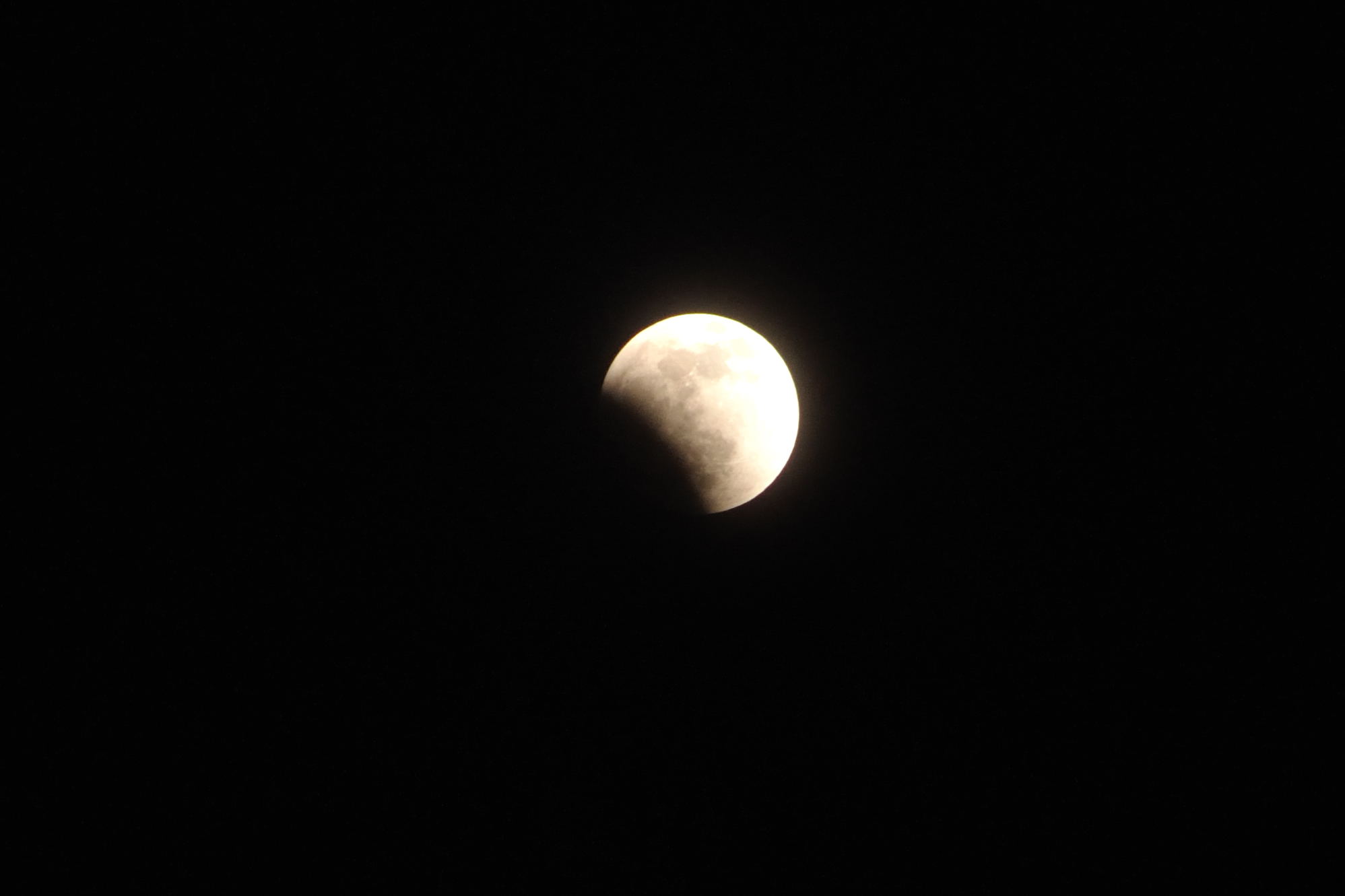 DSC_0316.jpg