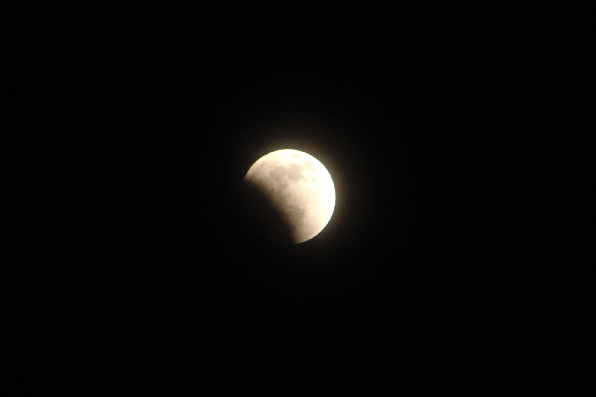 DSC_0318.jpg