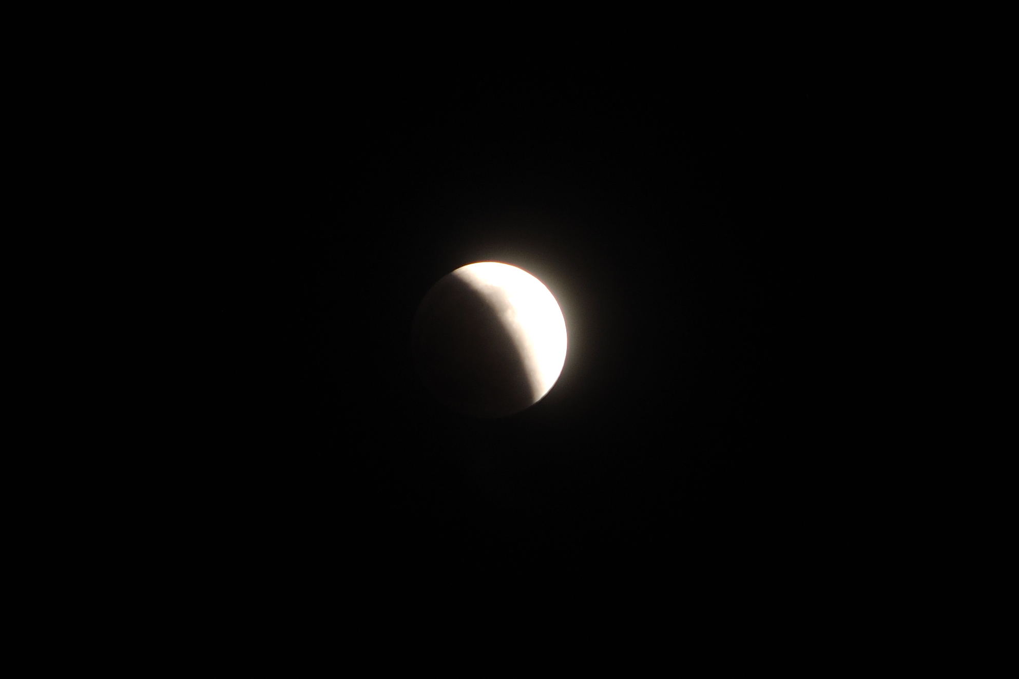 DSC_0351.jpg