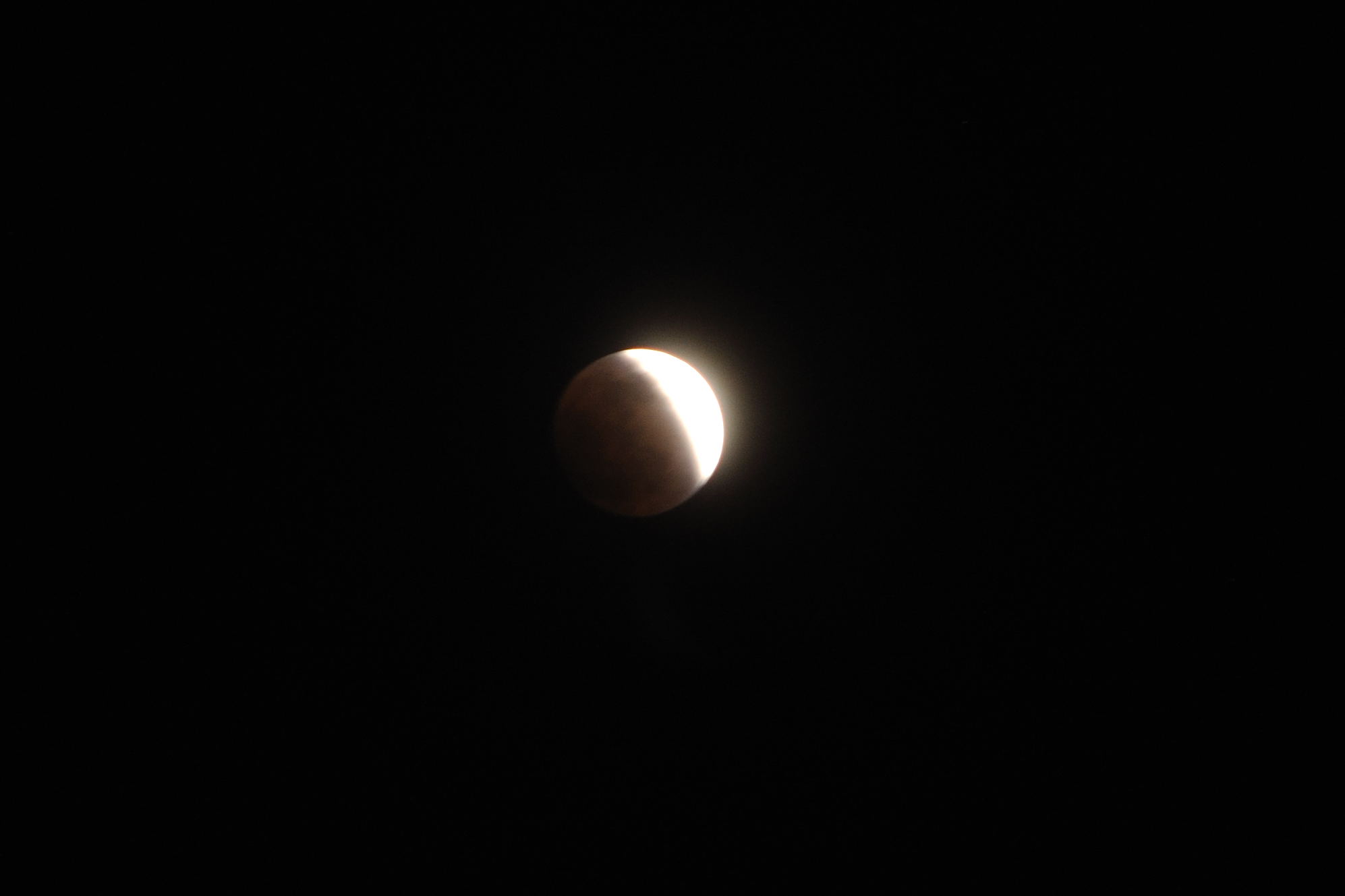 DSC_0366.jpg