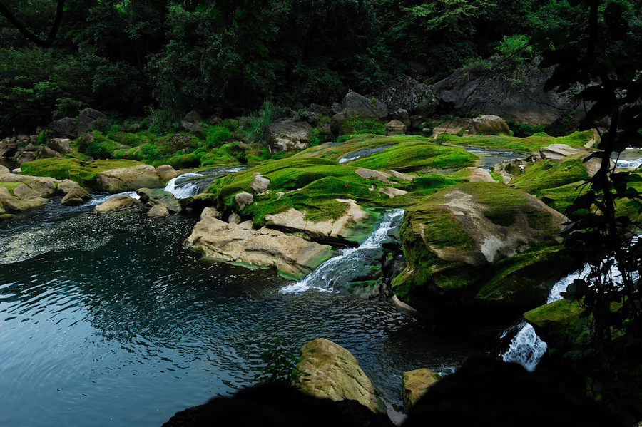 DSC_1218.jpg