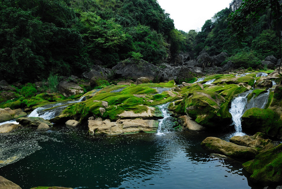 DSC_1219.jpg