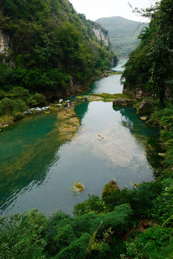 DSC_1391.jpg