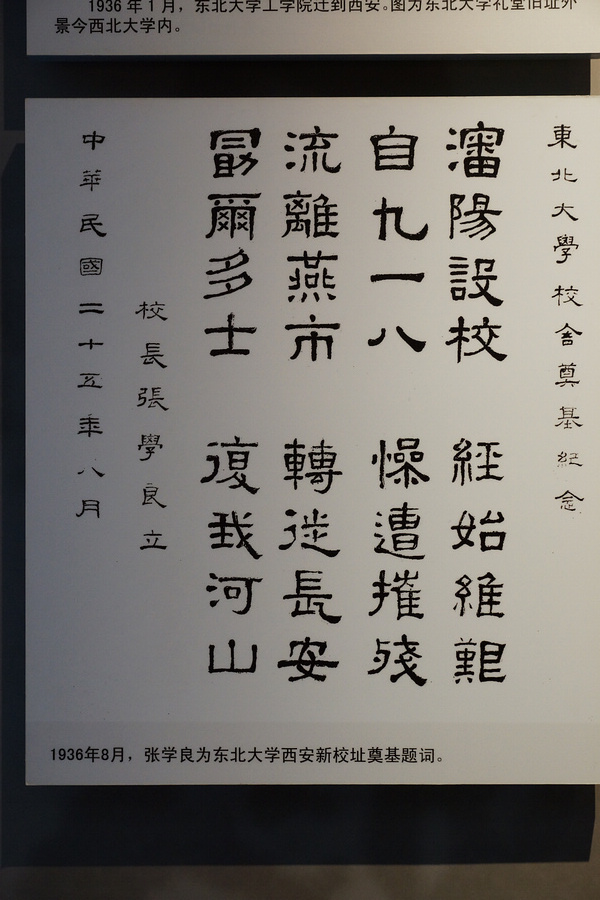 nEO_IMG_nEO_IMG_DSC09740.jpg