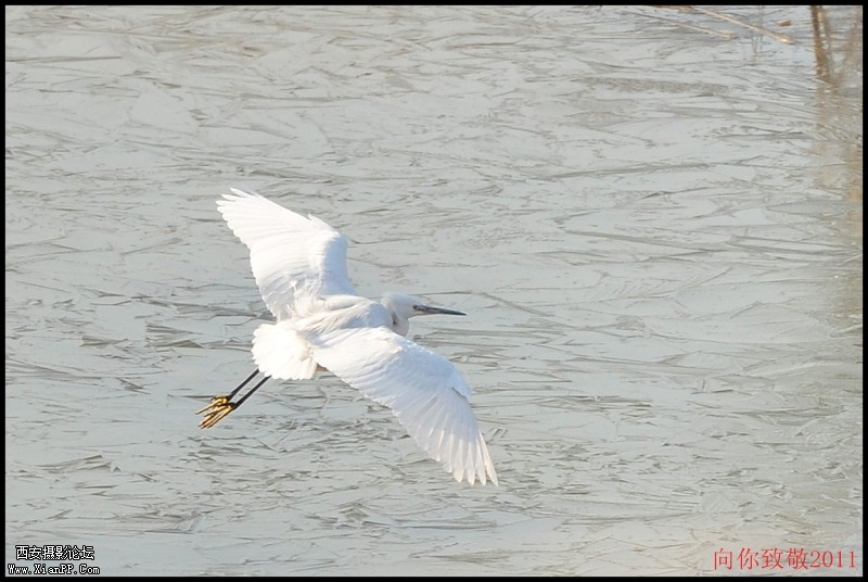 conew_dsc_0022_副本.jpg