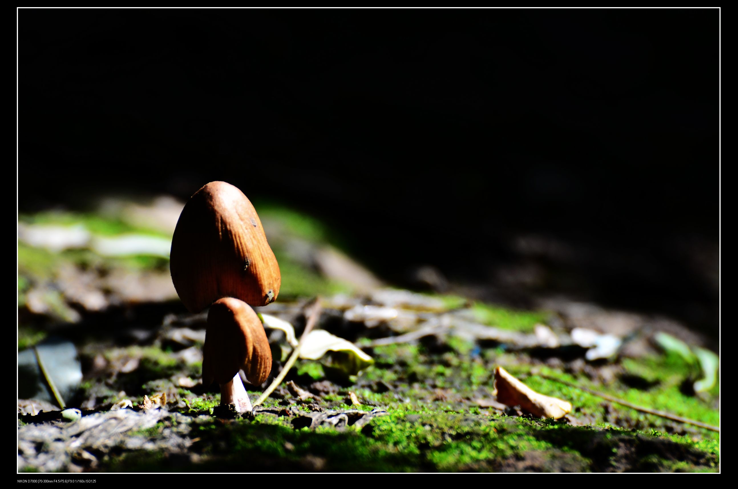 nEO_IMG_DSC_4442.jpg