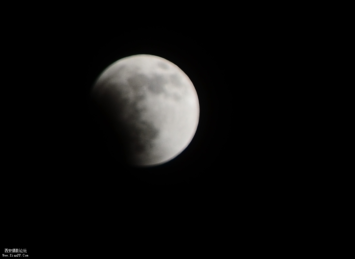 DSC_0481.JPG