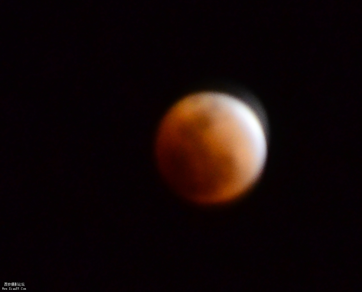 DSC_0528.JPG