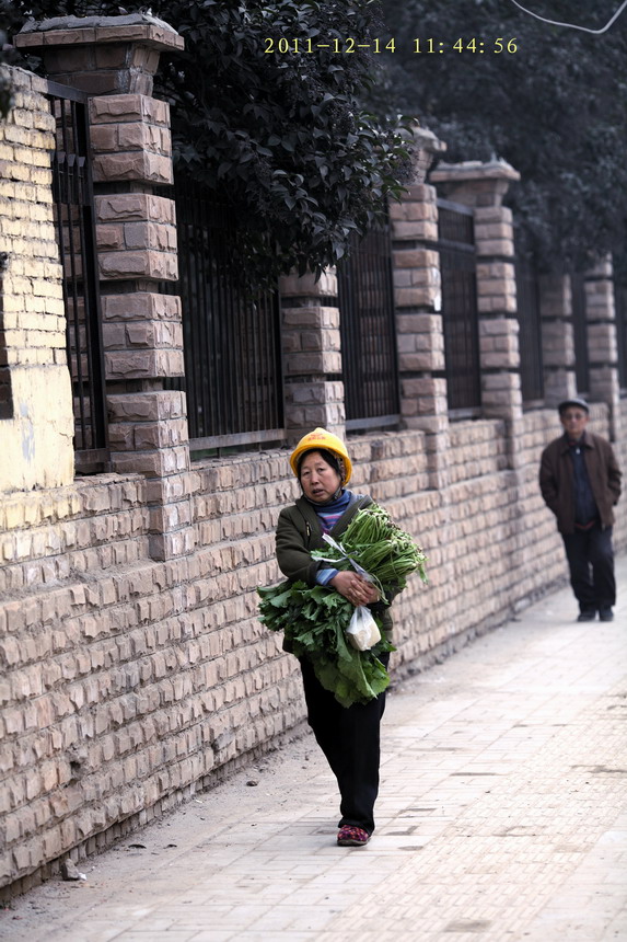 12147640_调整大小.JPG