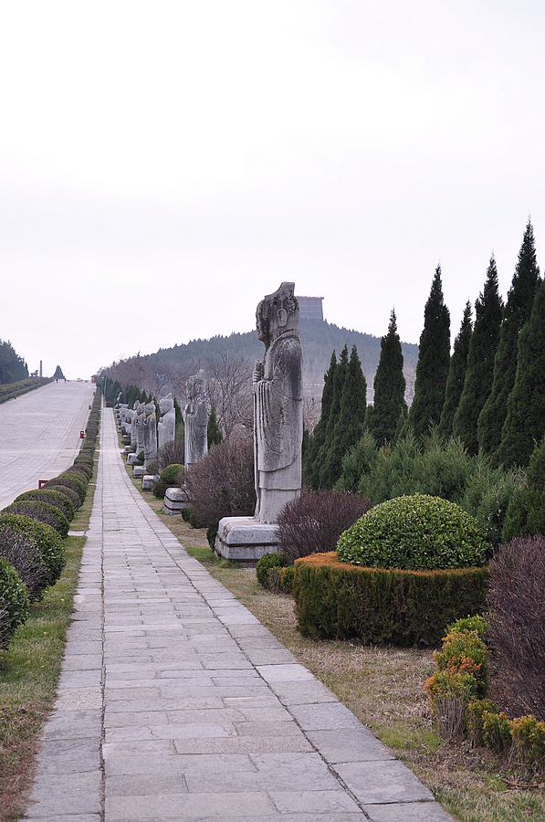 DSC_5565.jpg