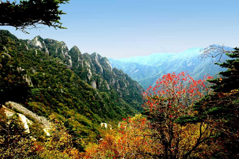 taibai1.jpg