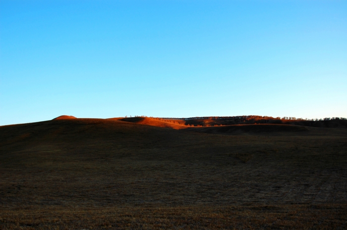 DSC_0043.jpg