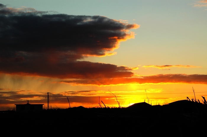 DSC_0134.jpg