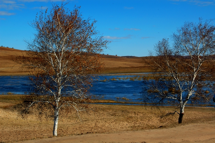 DSC_0268.jpg