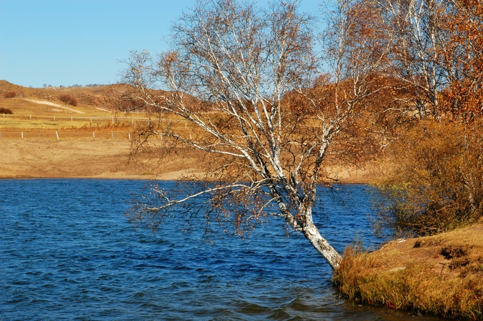 DSC_0478.jpg