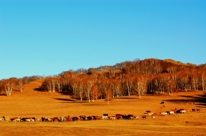 DSC_0542.jpg