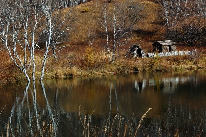 DSC_0852.jpg