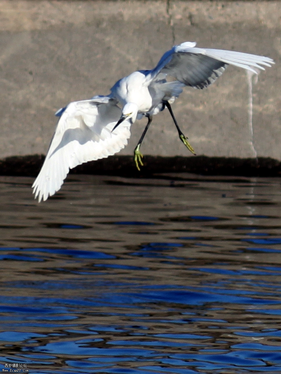 IMG_0908ww.jpg