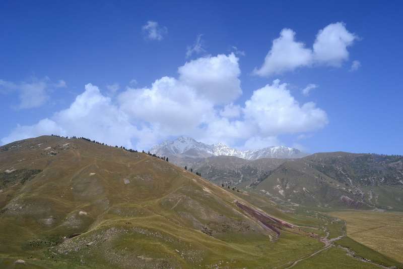 DSC_0710.JPG