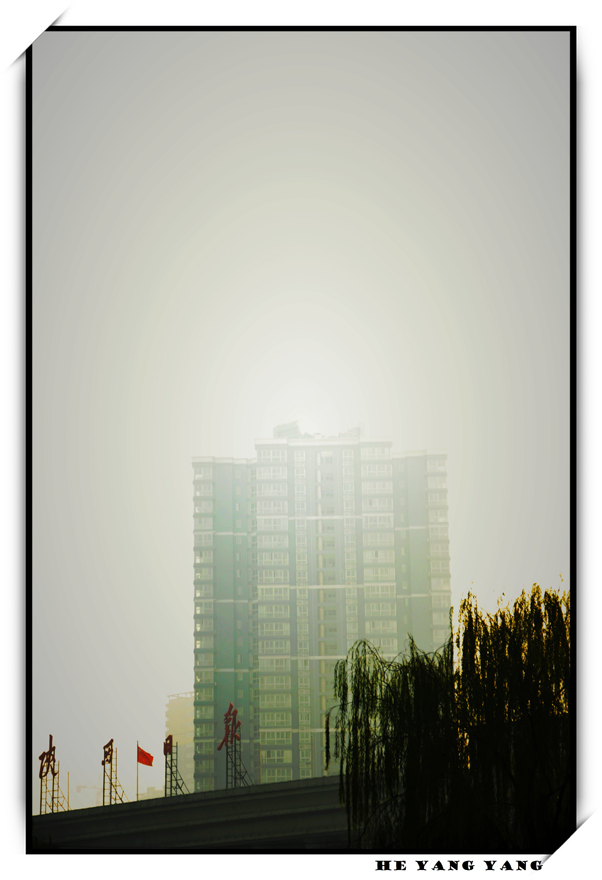 DSC_0220.JPG