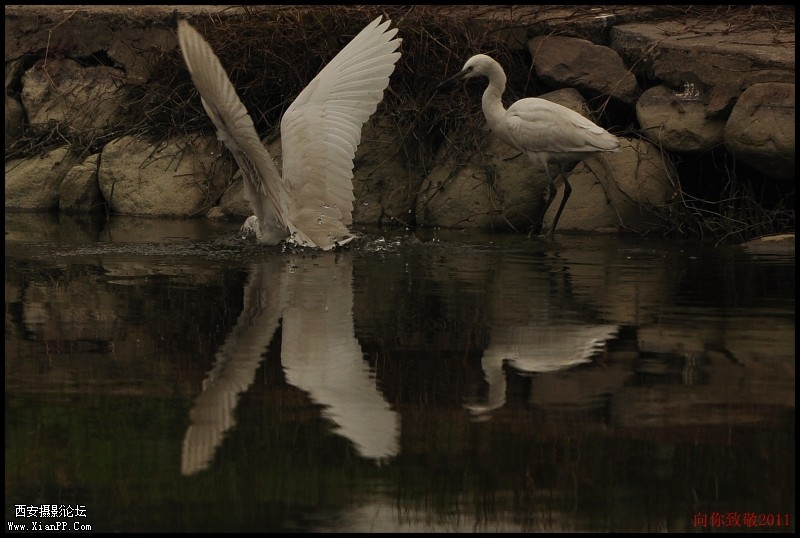 conew_dsc_0119_副本[1].jpg