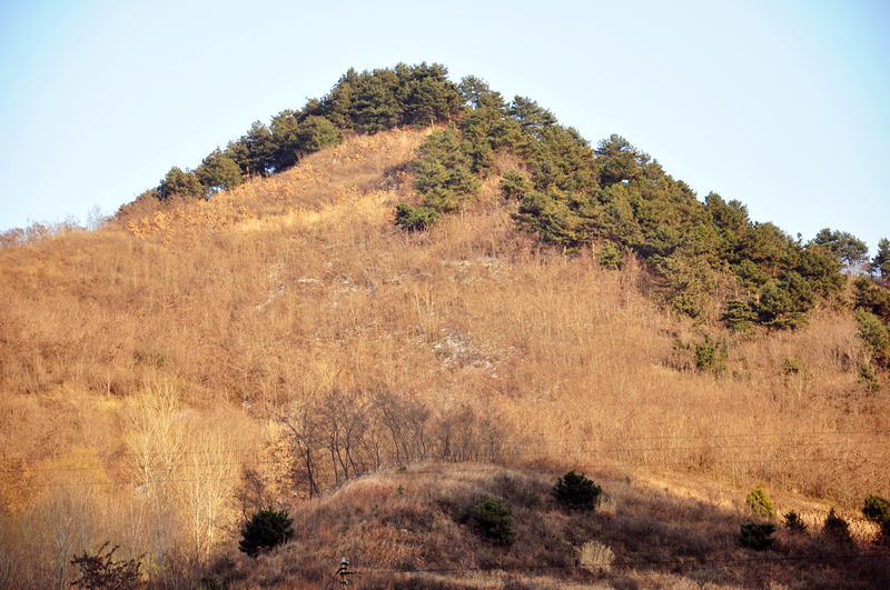 DSC_0043.jpg