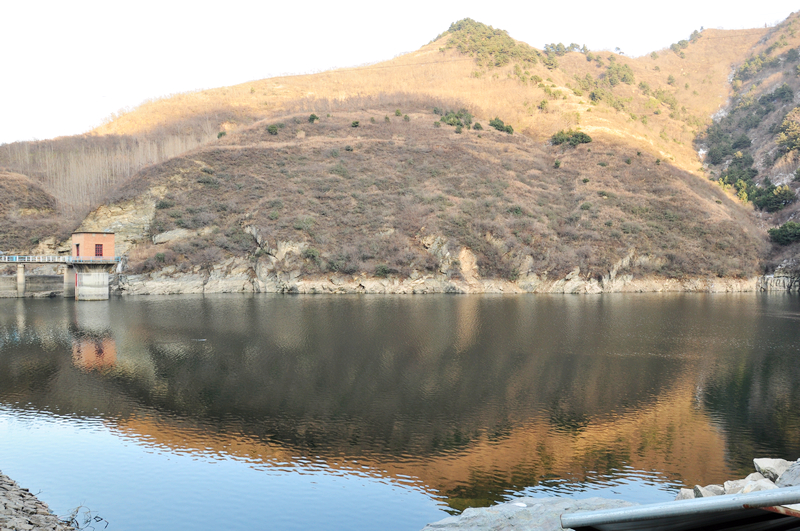 DSC_0050.jpg
