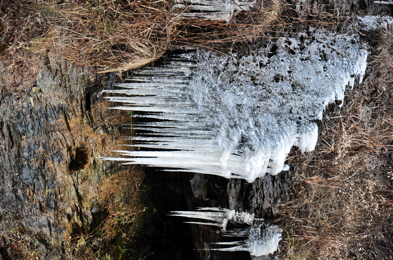DSC_0123.jpg