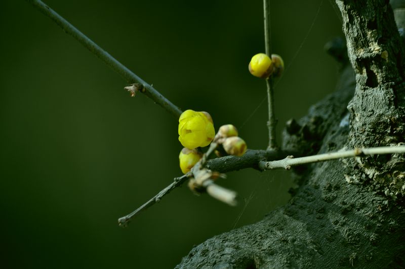 照片 12910.jpg