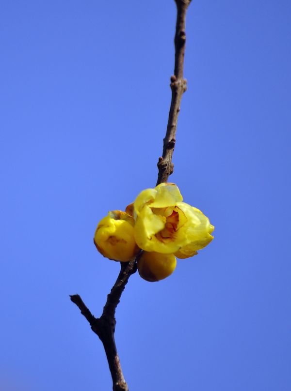 照片 09910.jpg
