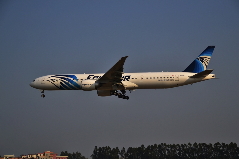 DSC_4651.JPG